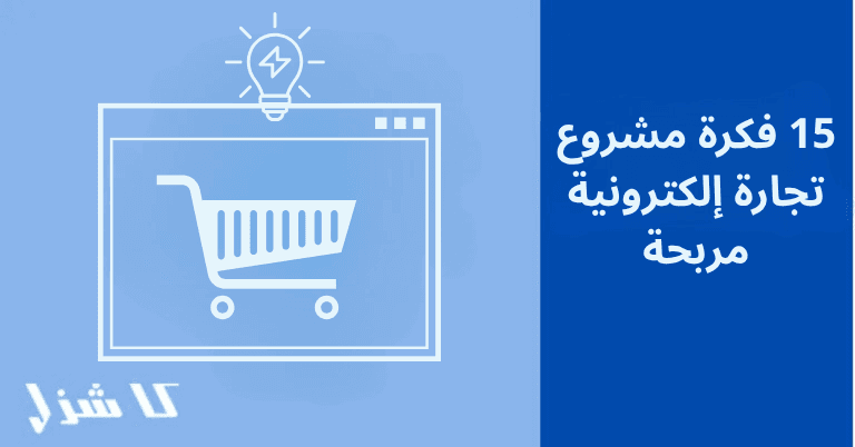 فكرة مشروع تجارة إلكترونية مربحة