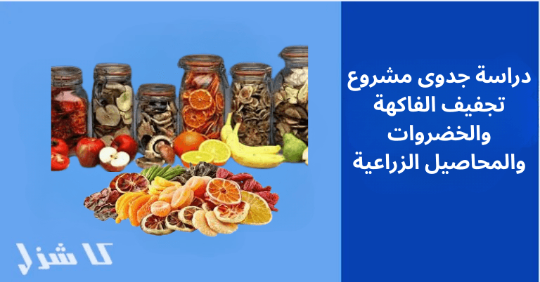 دراسة جدوى تجفيف الفاكهة والخضروات والمحاصيل الزراعية