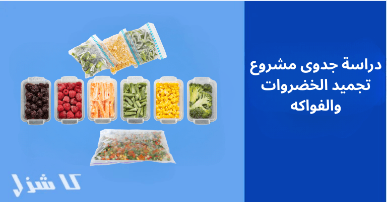 دراسة جدوى تجميد الخضروات والفواكه