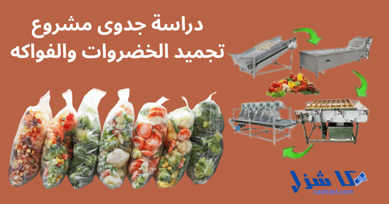 دراسة جدوى مشروع تجميد الخضروات والفواكه