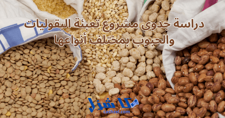 دراسة جدوى مشروع تعبئة البقوليات والحبوب بمختلف أنواعها 2025- 2 دراسة جدوى مشروع تعبئة البقوليات والحبوب بمختلف أنواعها