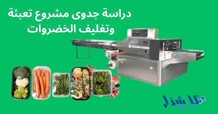 دراسة جدوى مشروع تعبئة وتغليف الخضروات 2025 (محطة فرز وتعبئة)- 2 دراسة جدوى مشروع تعبئة وتغليف الخضروات