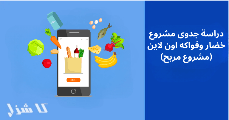 دراسة جدوى خضار وفواكه أون لاين