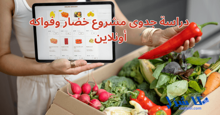 دراسة جدوى مشروع خضار وفواكه اون لاين
