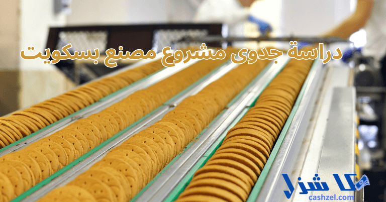 دراسة جدوى مشروع مصنع بسكويت