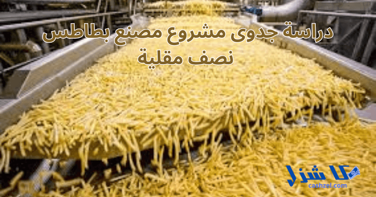 دراسة جدوى مشروع مصنع بطاطس نصف مقلية 